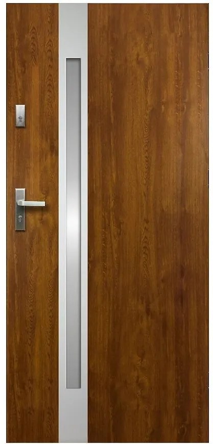 Dvere vchodové Temida SL P55 90L dub zlatý