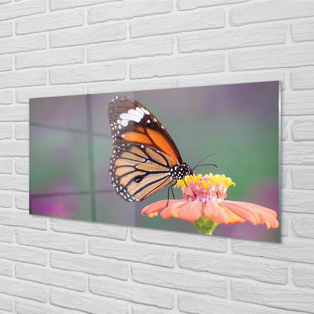 Nástenný panel  Farebný motýľ kvetina 140x70 cm