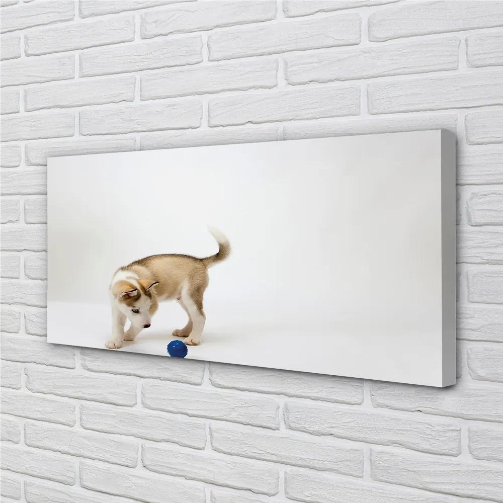 Obraz na plátne Hrať s tým psom 120x60 cm