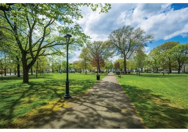 Kanlux 36435- LED Pouličná lampa PARCOLI LED/30/40/50W/230V 3000/4000/6500K IP66