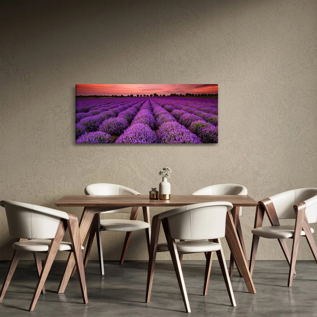 Obraz - Levanduľové pole (120x50 cm)