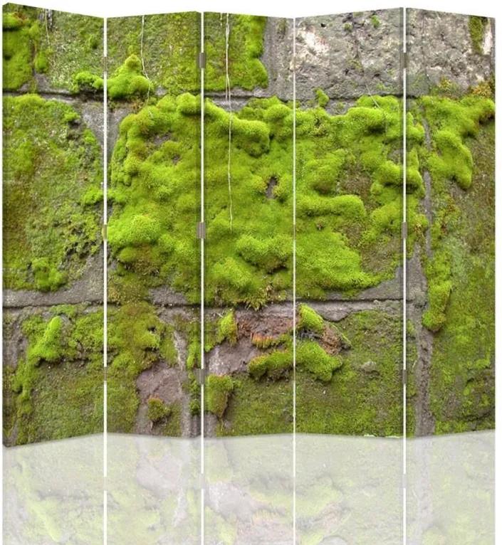CARO Paraván - Moss On The Wall | päťdielny | obojstranný 180x150 cm