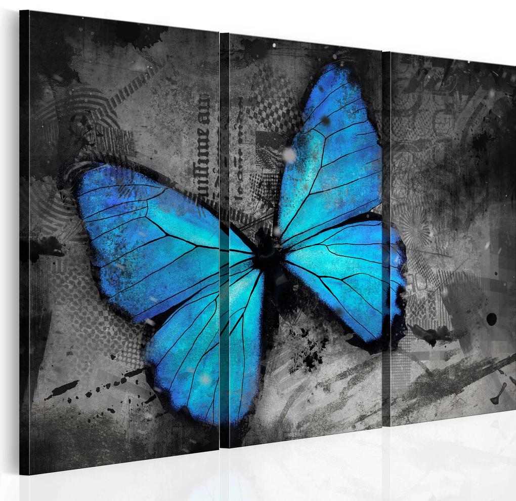 Artgeist Obraz - The study of butterfly - triptych Veľkosť: 120x80, Verzia: Na talianskom plátne