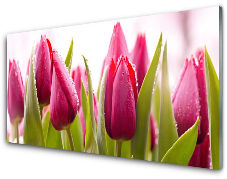 Sklenený obklad Do kuchyne Tulipány kvety rastlina 120x60 cm