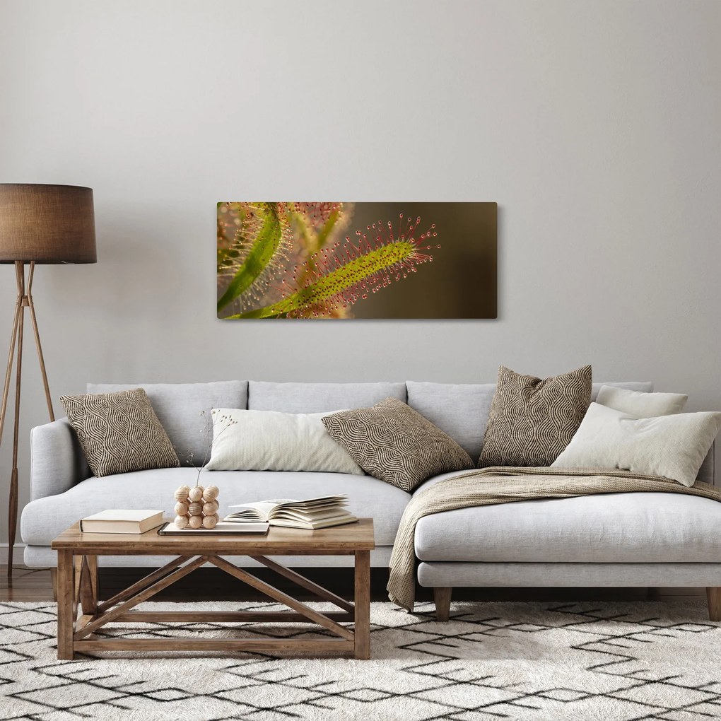 Obraz rastliny (120x50 cm)