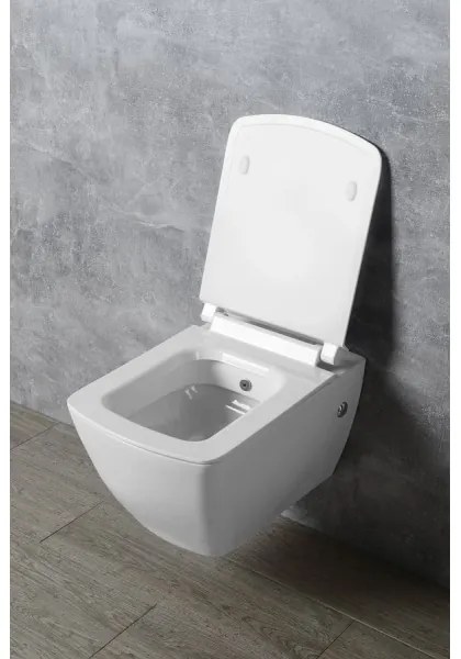 Isvea - WC sedátko SoftClose PURITY biela