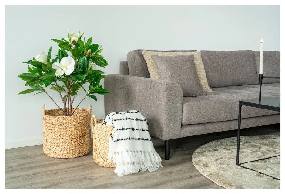 Košíky v súprave 2 ks z vodného hyacintu ø 35x37 cm Passo – House Nordic