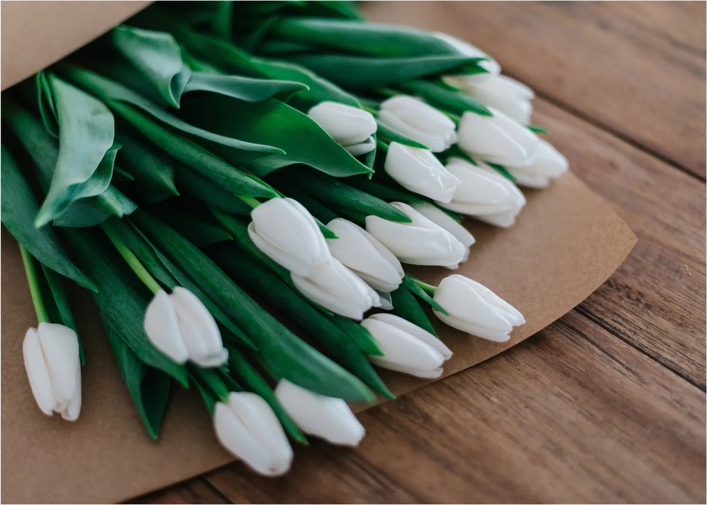 Sklenený obraz kytice bielych tulipánov (70x50 cm)
