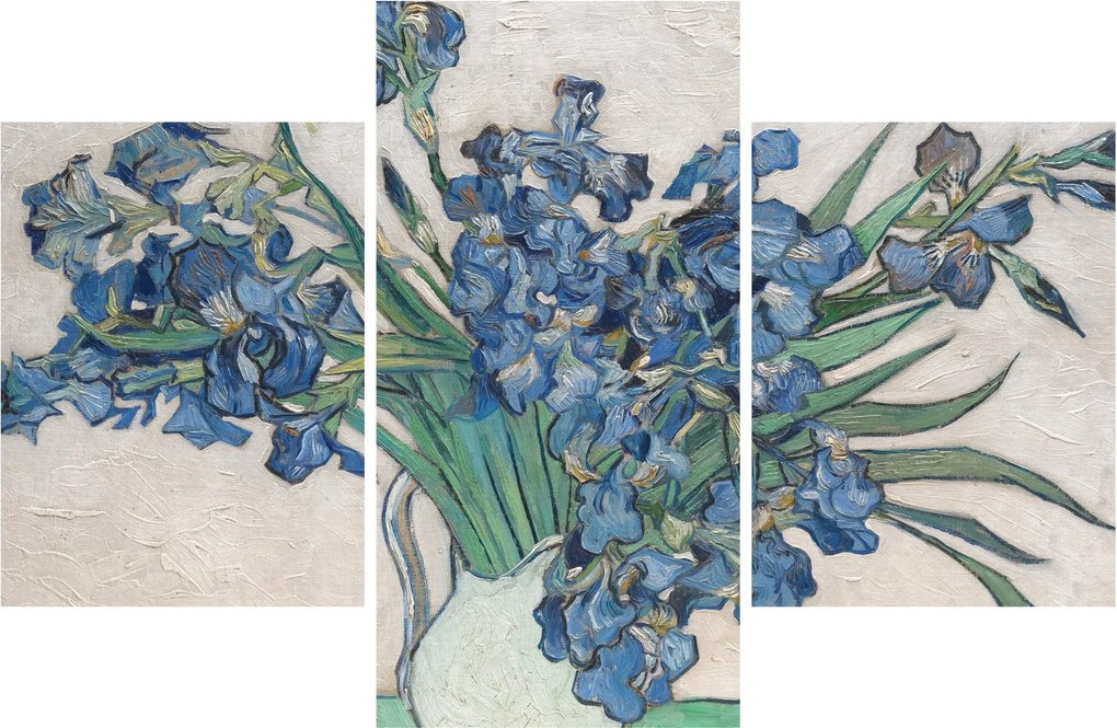 Obraz - Vincent van Gogh, Irises, reprodukcia (90x60 cm)