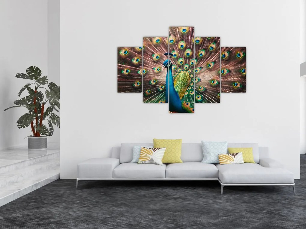 Obraz - Páv (150x105 cm)