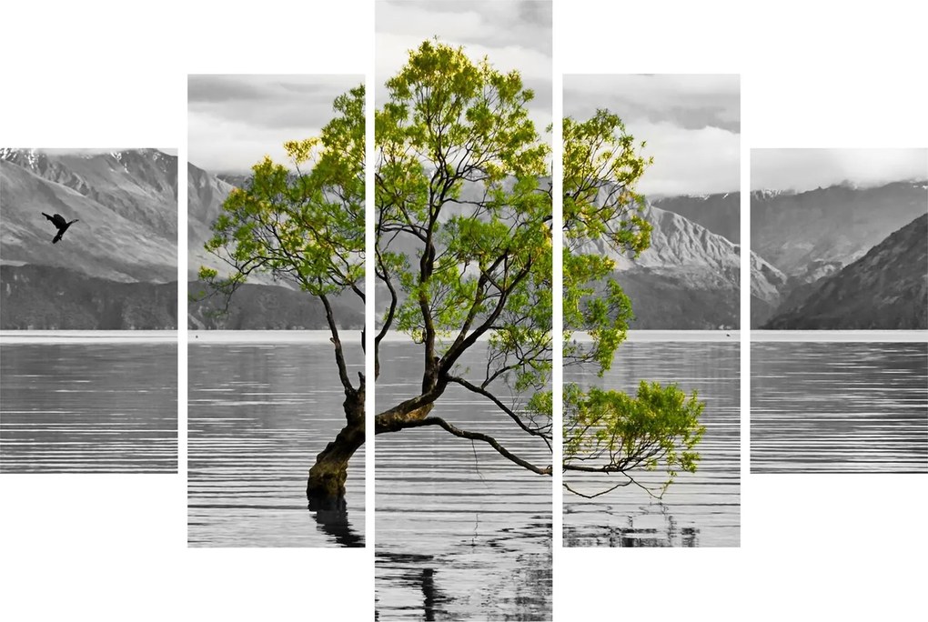 Obraz stromu uprostred jazera (150x105 cm)