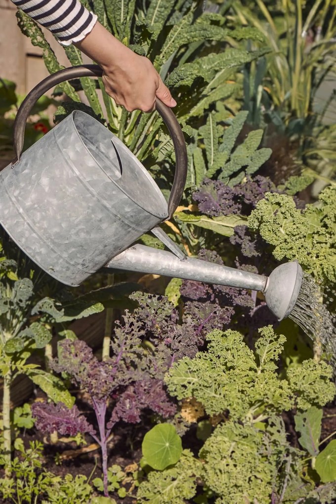 Ib Laursen Kovová záhradná krhla Zinc 5 l