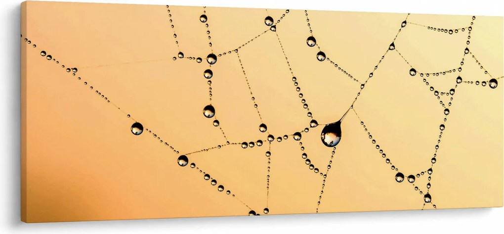 Obraz orosenej pavučiny (120x50 cm)