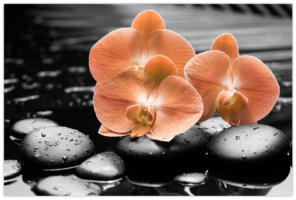 Obraz - Oranžové orchidey (90x60 cm)