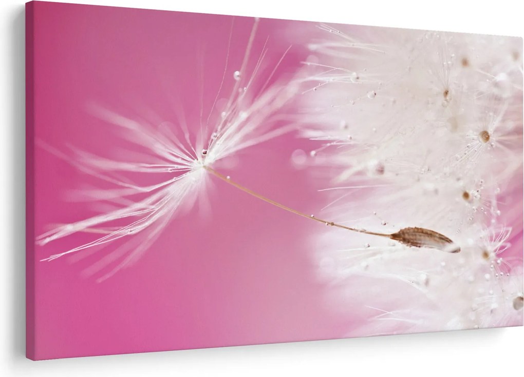 Obraz - Makro kvetu (90x60 cm)