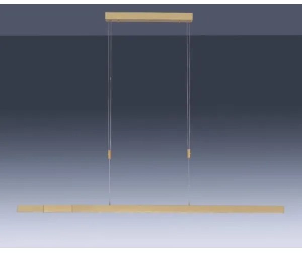 Paul Neuhaus 2568-60 - LED Stmievateľný luster na lanku ADRIANA LED/14W/230V mosadz