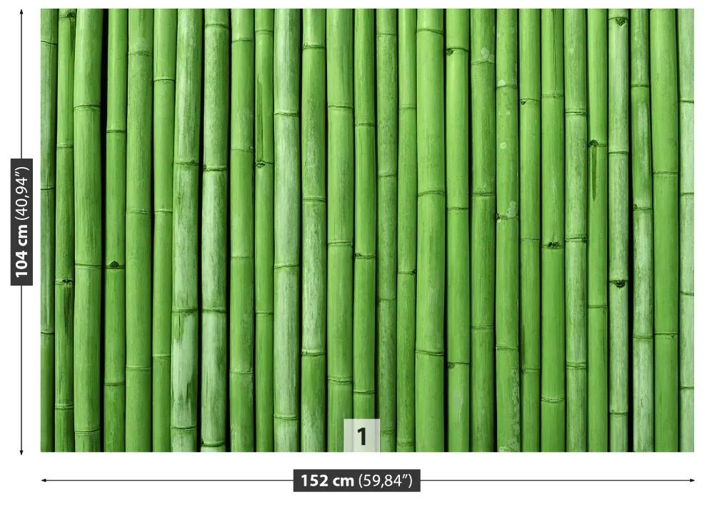 Fototapeta Vliesová Bambusová zelená 250x104 cm