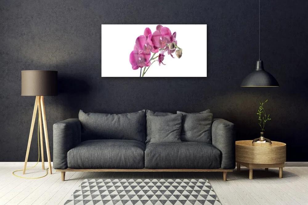 Obraz plexi Orchidea kvety príroda 100x50 cm