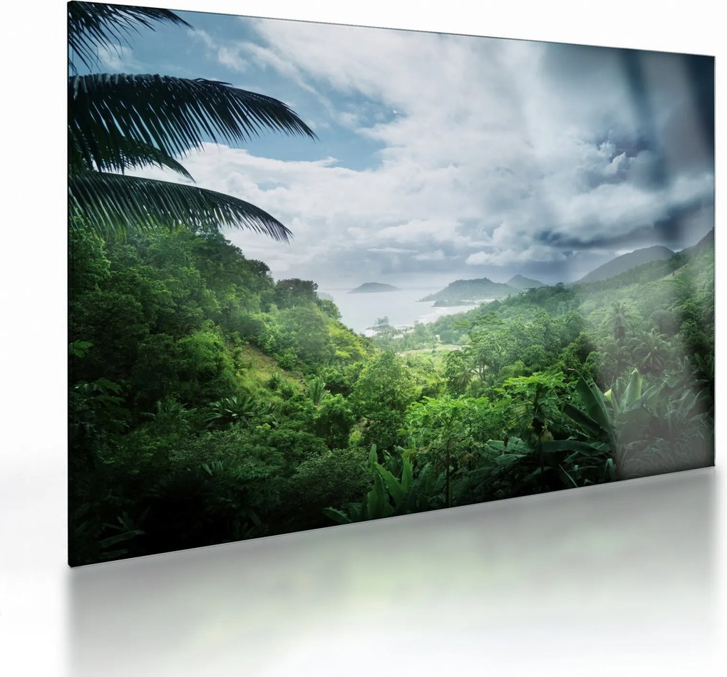 Sklenený obraz - Seychelská jungle (70x50 cm)