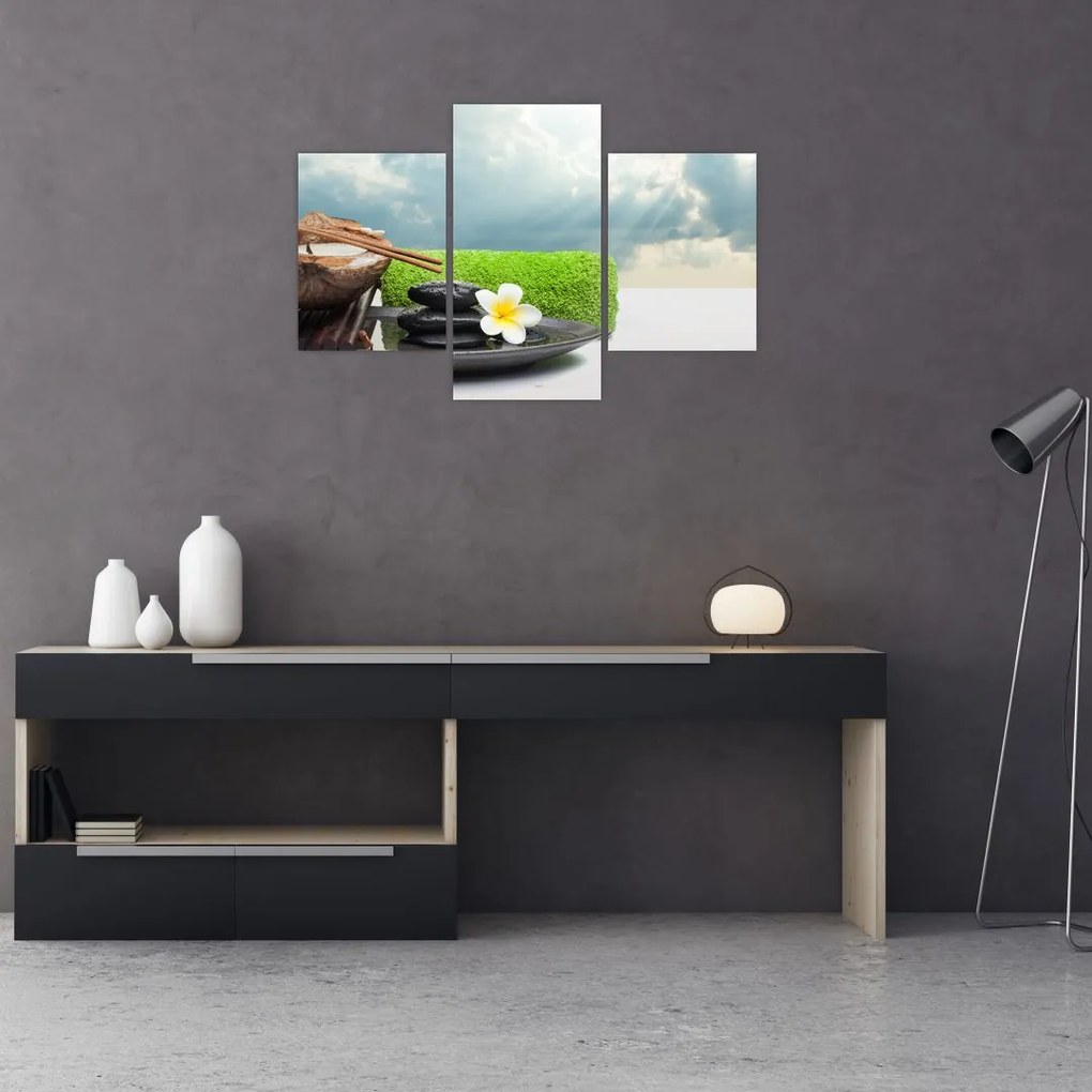 Obraz - Spa and relax (90x60 cm)