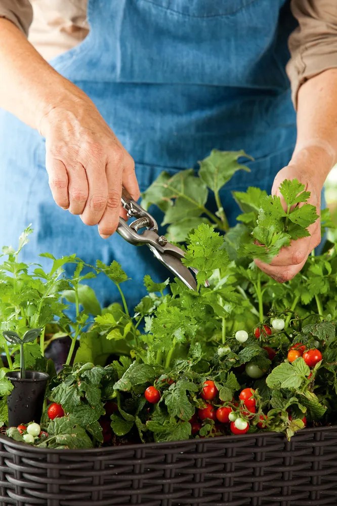 Praktický kvetináč EASY GROW z umelého ratanu - hnedý