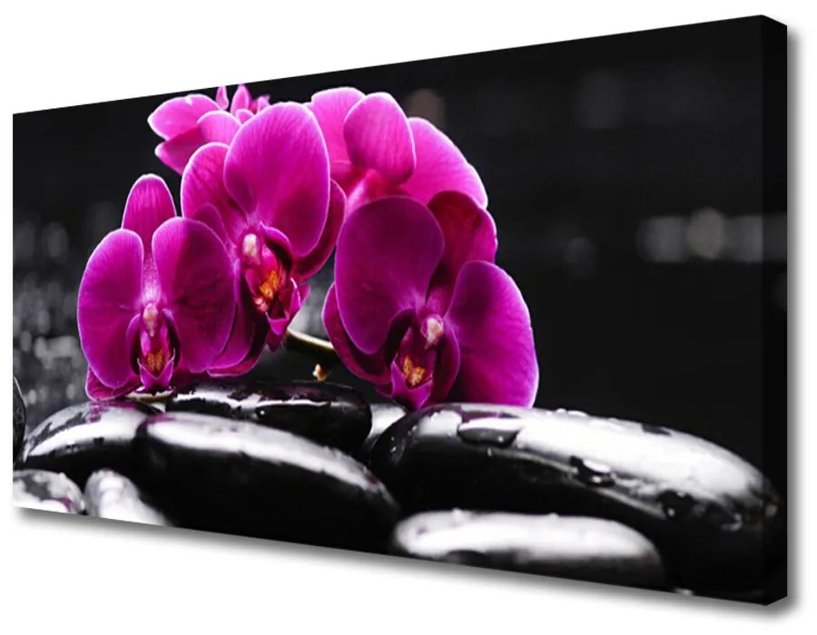 Obraz Canvas Kamene zen orchidea kúpele 100x50 cm