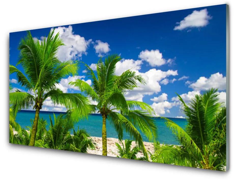 Skleneny obraz More palma stromy príroda 100x50 cm