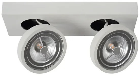 Lucide 09920/20/31 - LED Stmievateľné bodové svietidlo NENAD AR111 G53/2x10W/18V