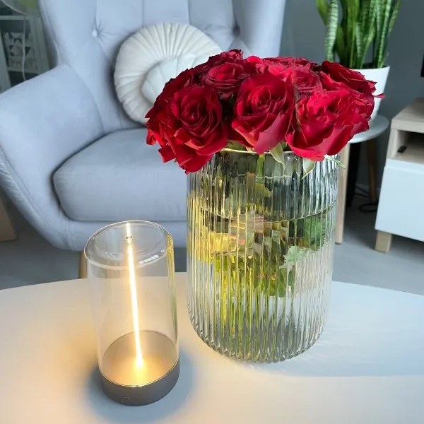 Zuma Line 1001 - LED Stmievateľná nabíjacia lampa ESTERNO LED/0,5W/230V čierna IP54