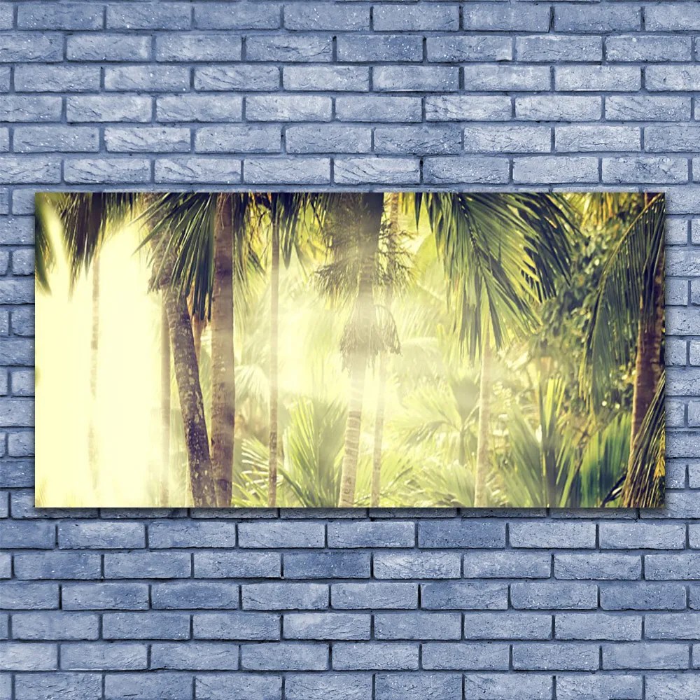 Obraz plexi Les palmy stromy príroda 120x60 cm