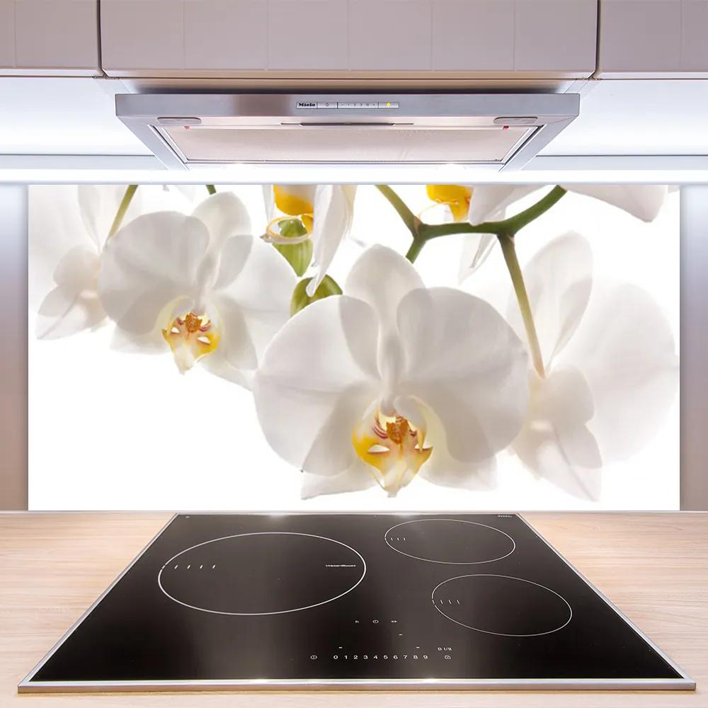 Sklenený obklad Do kuchyne Orchidea kvety príroda 120x60 cm