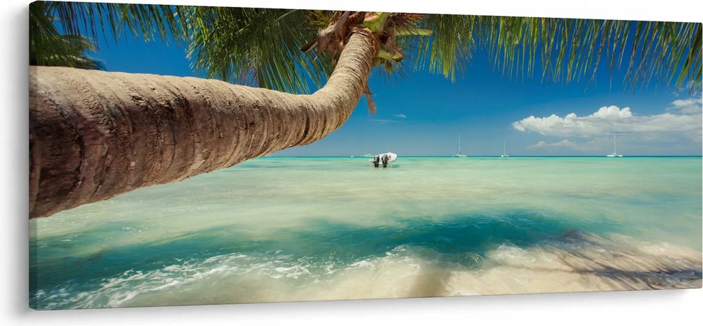 Obraz - Čisté more s palmou (120x50 cm)