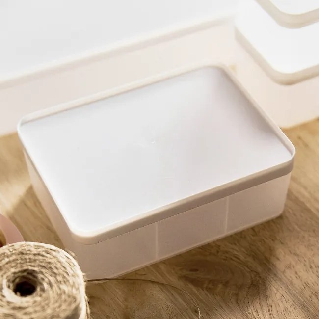 Úložný box GIZMO biely 883410