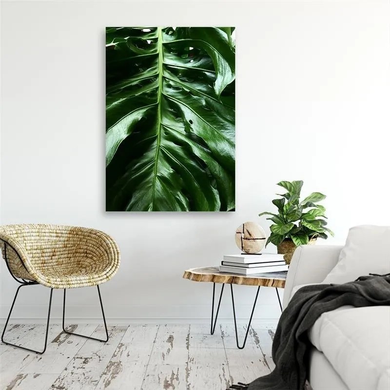 Gario Obraz na plátne Hladký list rastliny monstera Rozmery: 40 x 60 cm