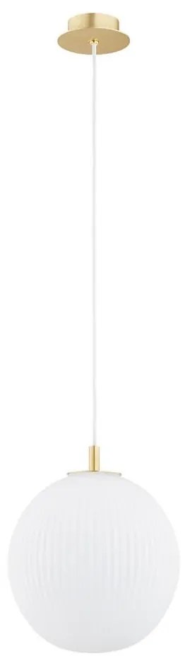 Argon 8507 - Luster na lanku PALOMA 1xE27/15W/230V pr. 25 cm zlatá/biela