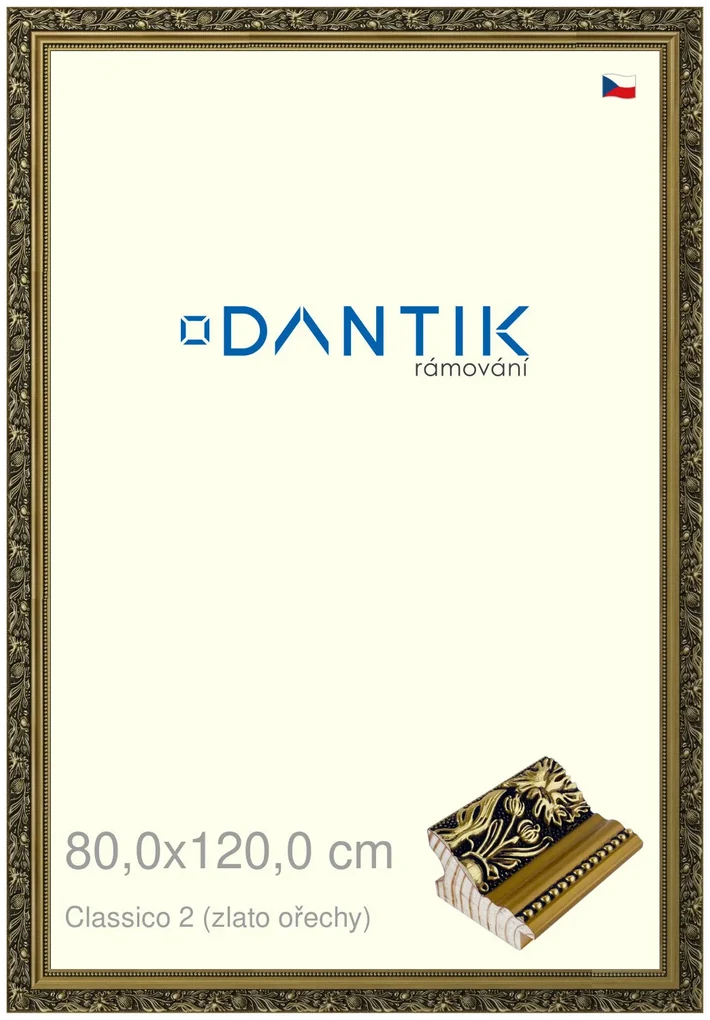 DANTIK rám na obraz 80x120 | Claico 2 (zlato ořechy) (Plexi Čiré)
