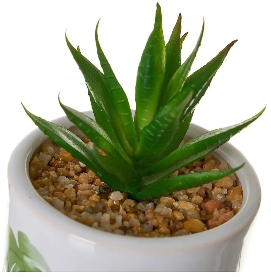 Umelé kvety v súprave 4 ks Cactus – Casa Selección