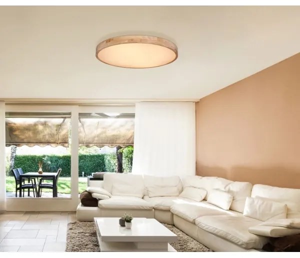 Globo 41745-60 - LED Stmievateľné stropné svietidlo RAINER LED/60W/230V + DO