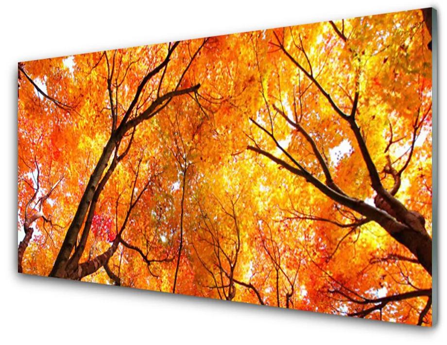 Nástenný panel  Stromy príroda 140x70cm