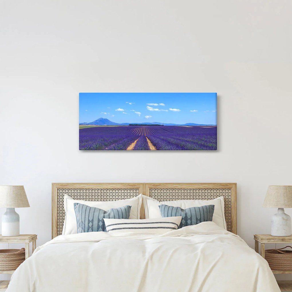 Obraz - Levanduľové pole (120x50 cm)