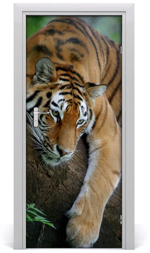 Samolepiace fototapety na dvere tiger na strome 75x205 cm