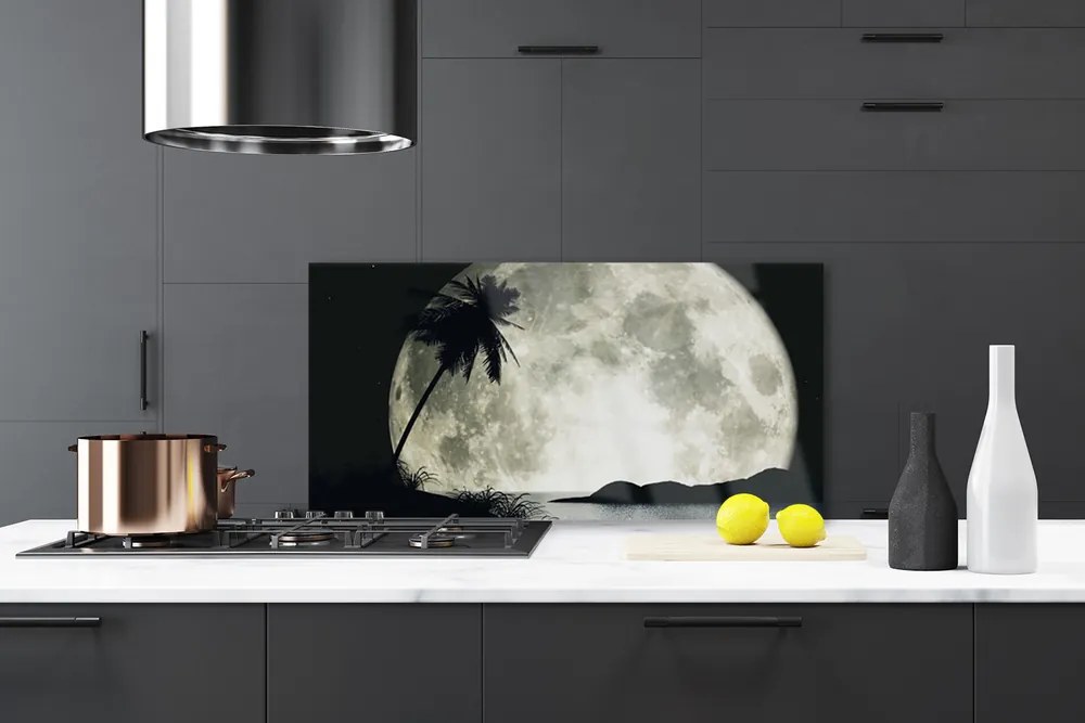 Nástenný panel  Noc mesiac palma krajina 100x50 cm