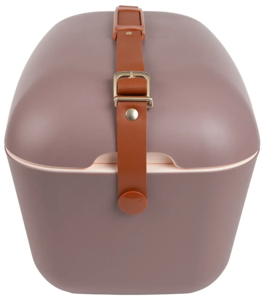 Polarbox Chladiaci box Classic Gold 12 l, hnedá, 12 l