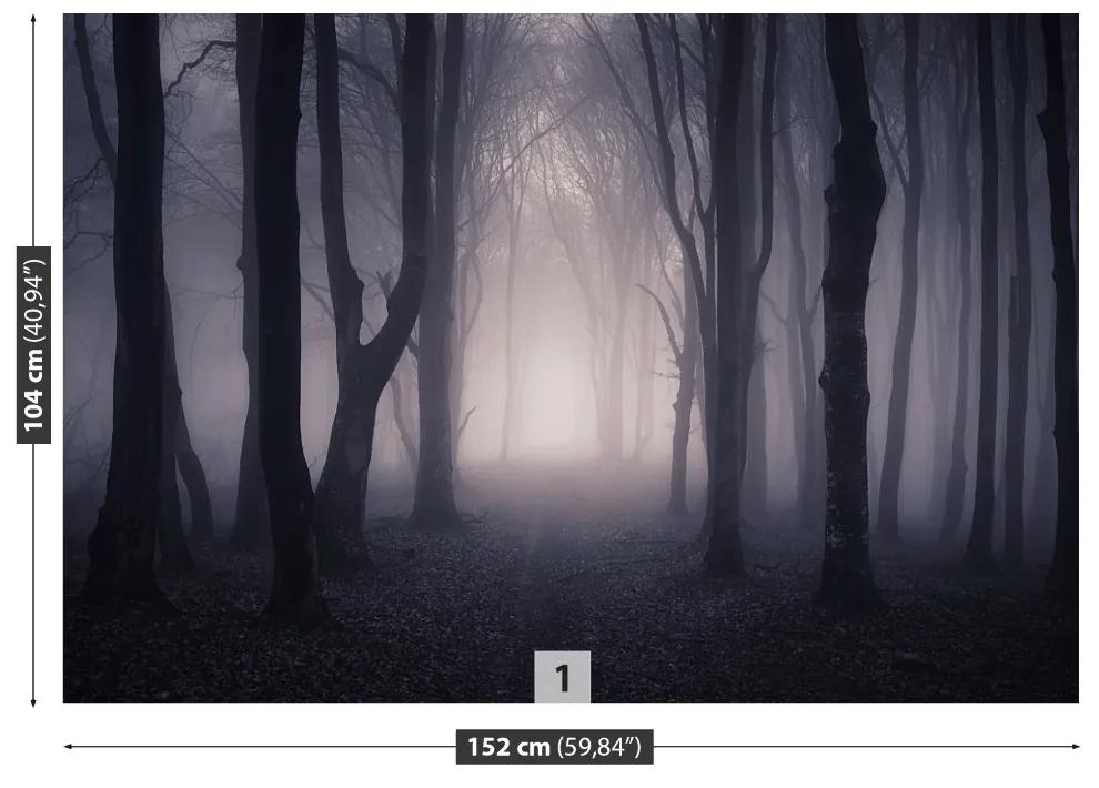 Fototapeta Vliesová Temný les 104x70 cm