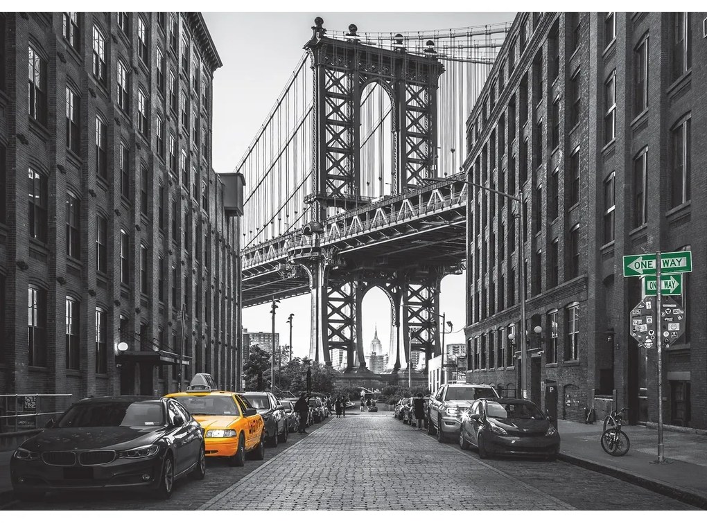 Fototapeta XXL New York 360 x 254 cm, 4 diely
