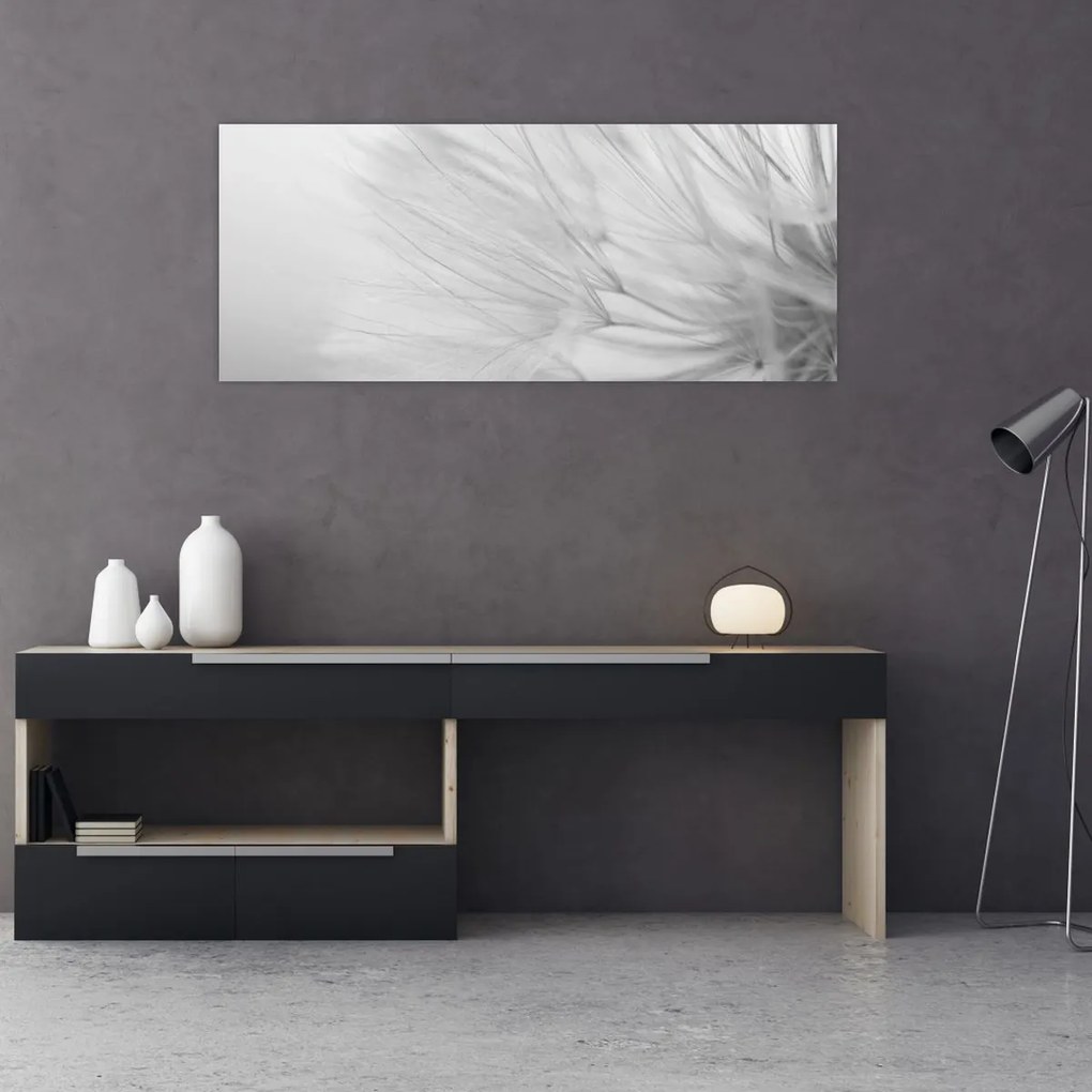 Obraz - Púpava (120x50 cm)