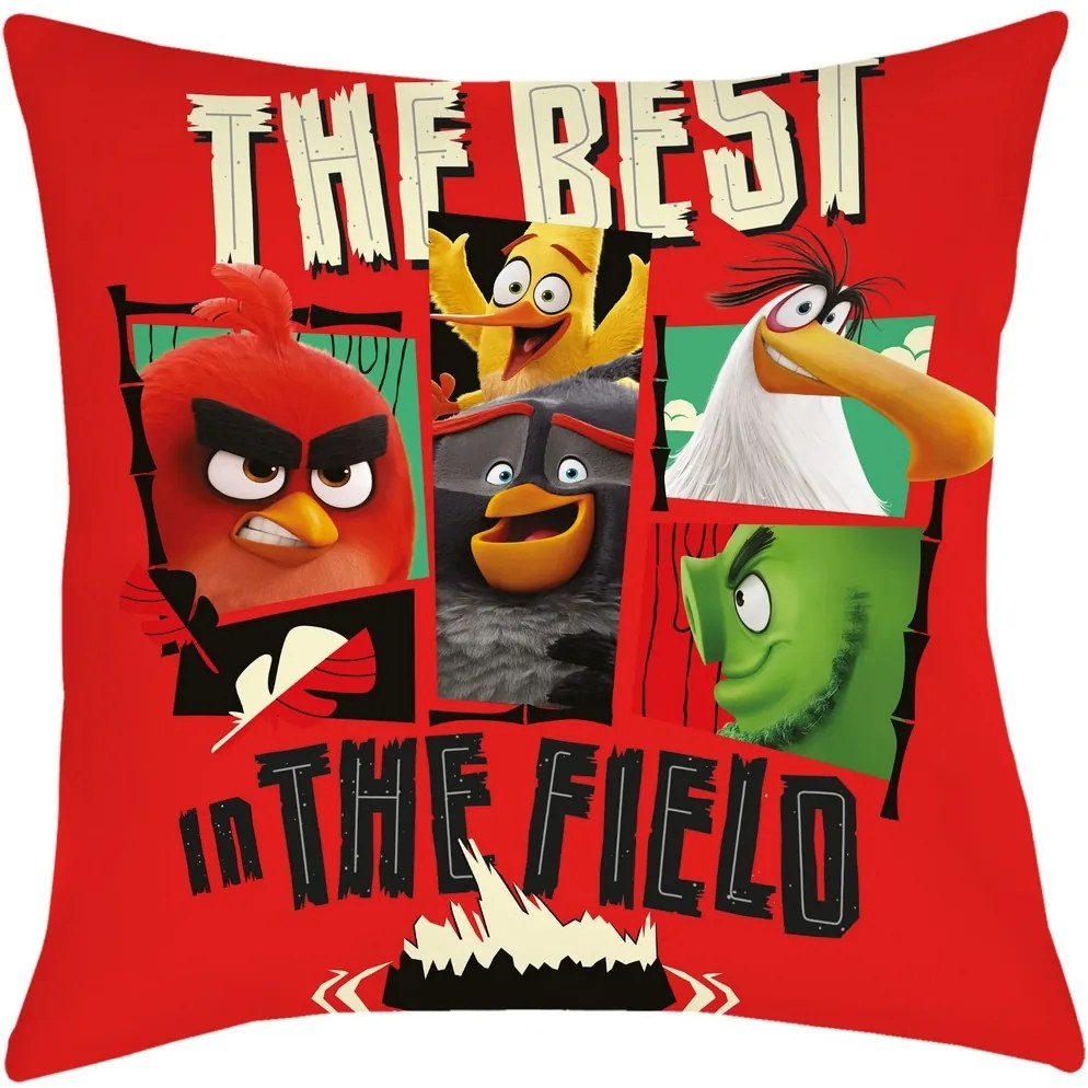 Halantex Vankúšik Angry Birds Movie 2 The Field, 40 x 40 cm