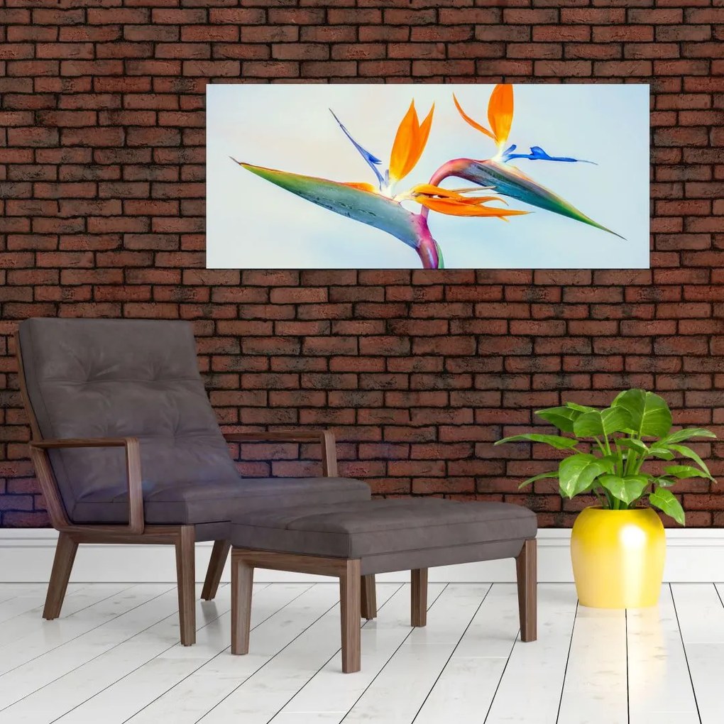 Obraz kvetu Strelícia (120x50 cm)