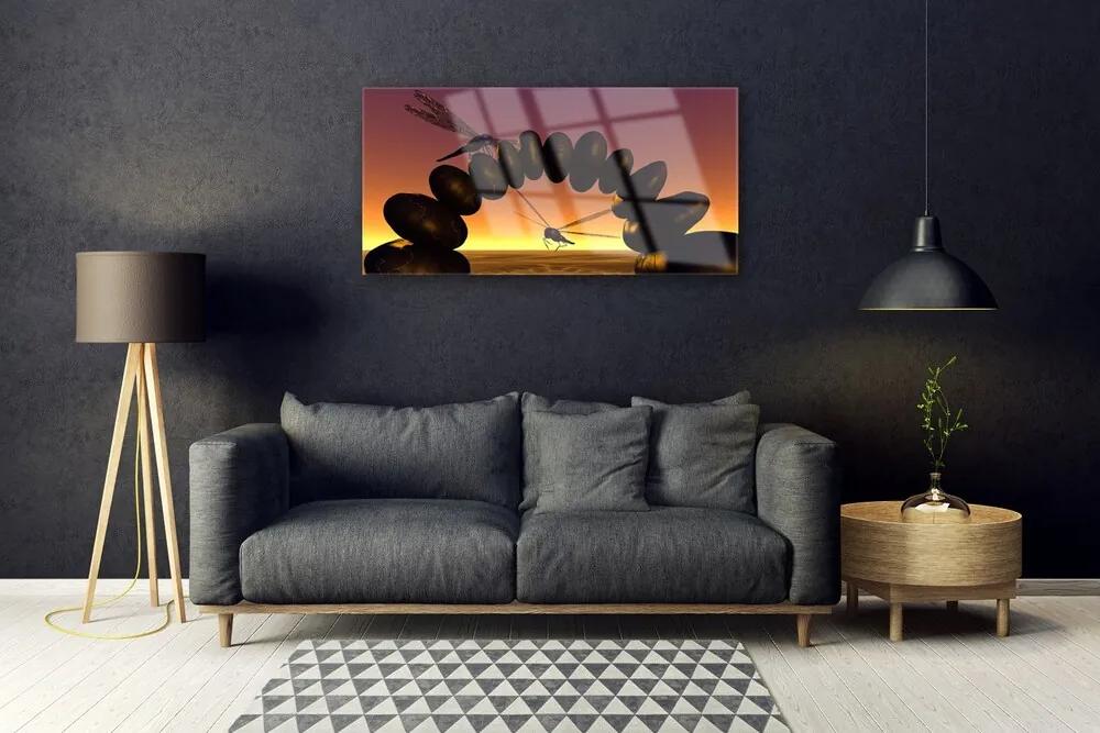 Skleneny obraz Vážky kamene umenie 120x60 cm