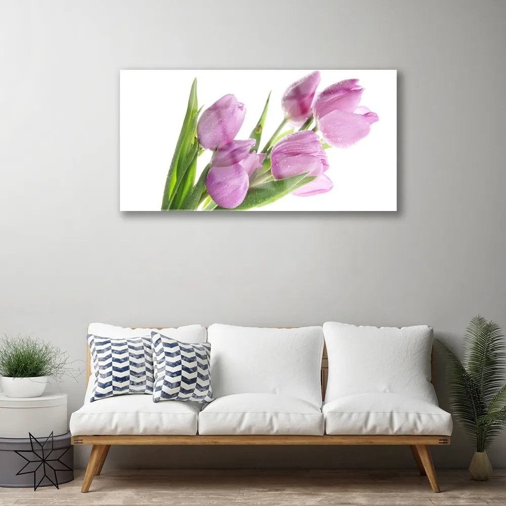 Skleneny obraz Tulipány kvety rastlina 100x50 cm